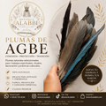 Plumas de Agbe