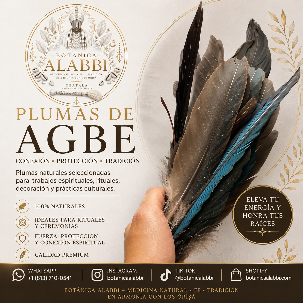 Plumas de Agbe