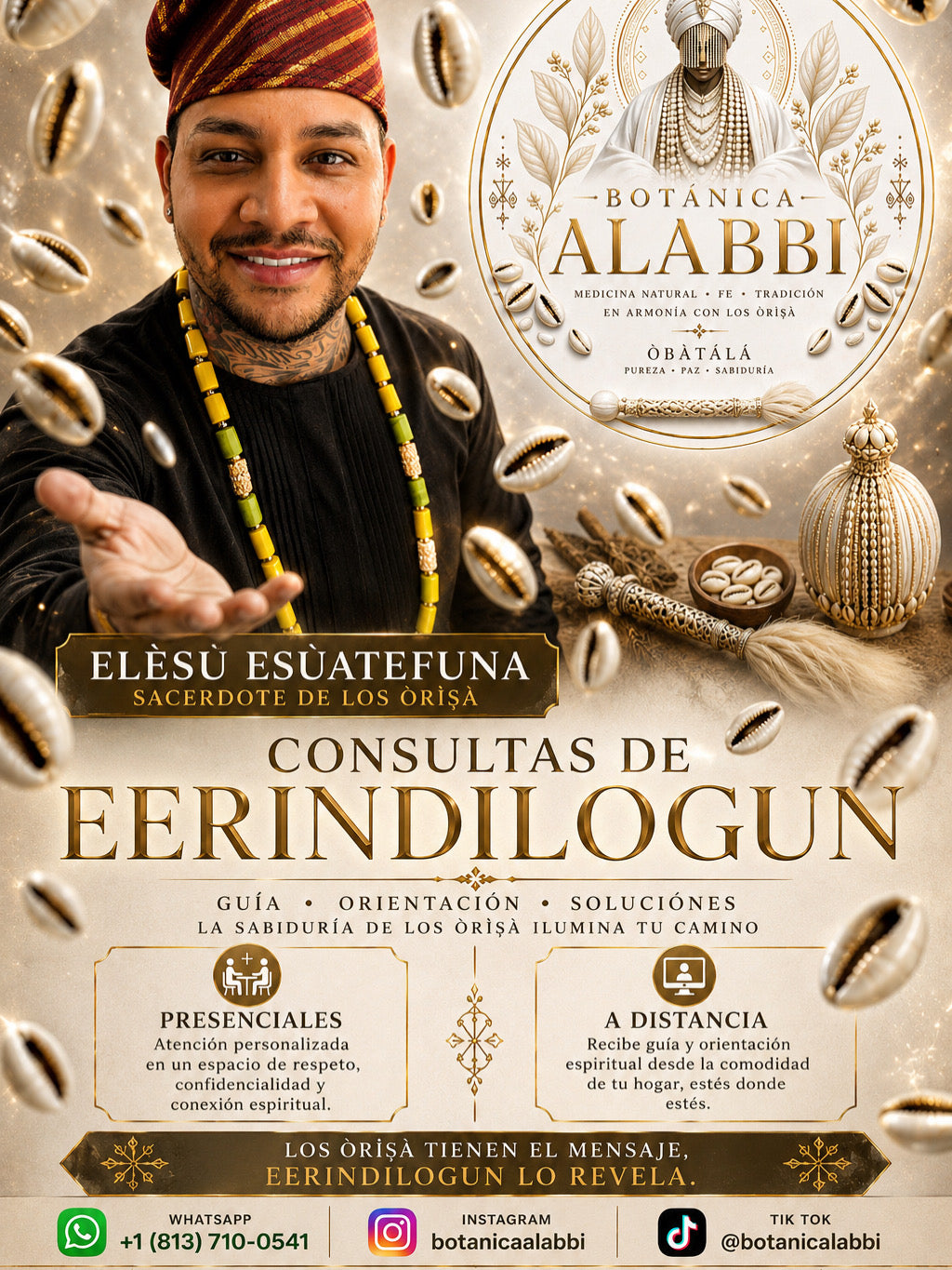 Consulta con Eerindinlogun