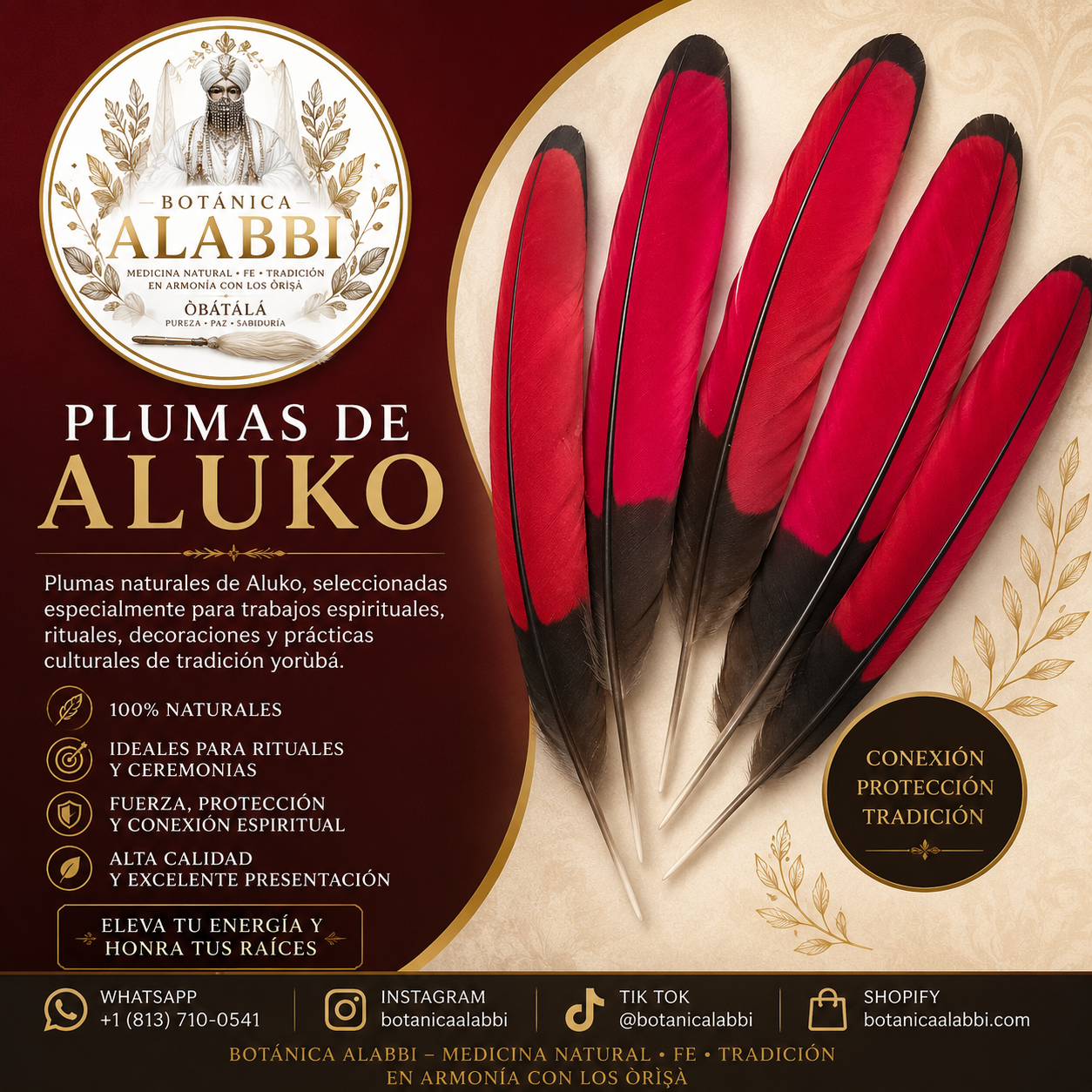 Plumas de Aluko