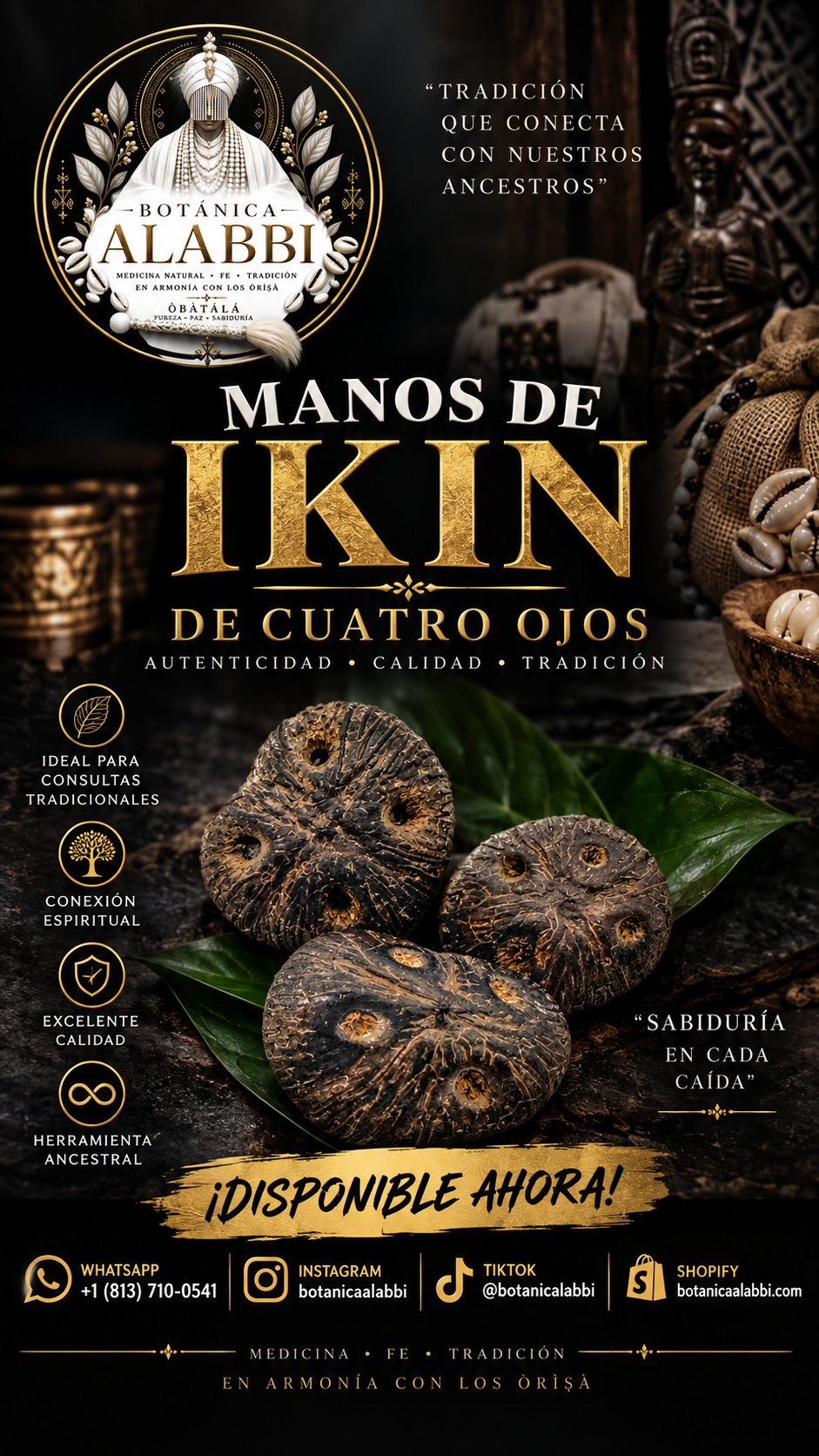 Manos de Ikin de cuatro ojos (21)